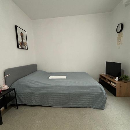 Appartement Au Coeur Strasbourg Luaran gambar