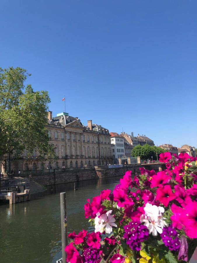 Appartement Au Coeur Strasbourg Luaran gambar